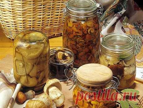 МАРИНАД ДЛЯ ГРИБОВ (Опят, маслят, белых и т. д. )
