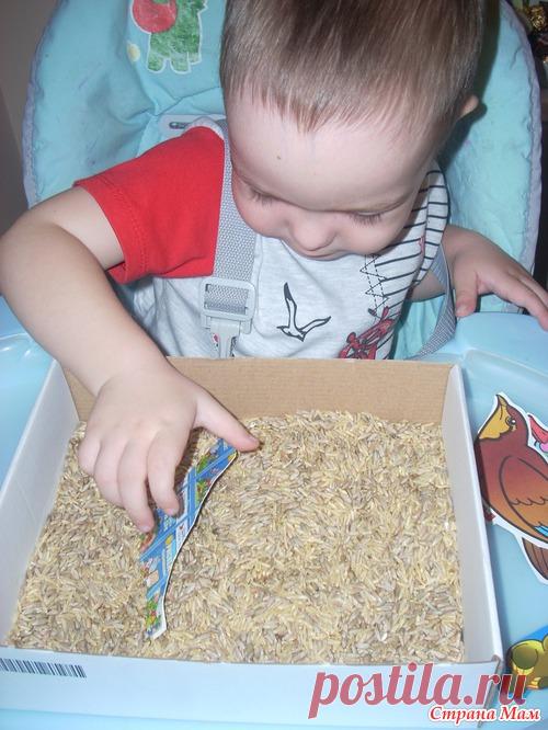 Отчет о ТН "Птицы" от Егорки - Развиваем ребенка дома (от 0 до 7 лет) - Страна Мам