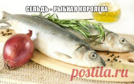 Готовим с Эгги! Домашние рецепты на любой вкус!