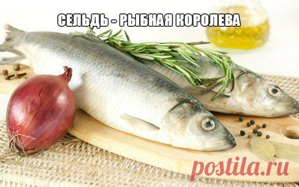 Готовим с Эгги! Домашние рецепты на любой вкус!