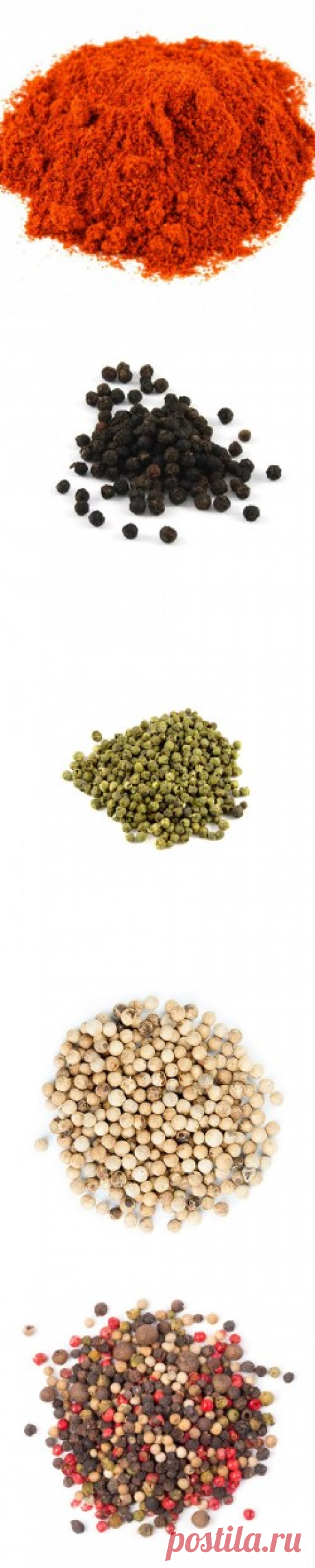 Перец сушеный купить в Москве | Шеф Орех