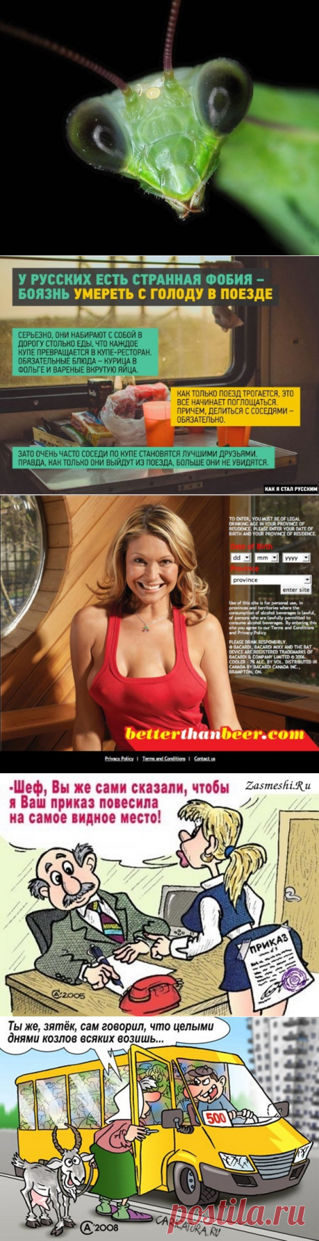 BKVL Развлекательный Портал