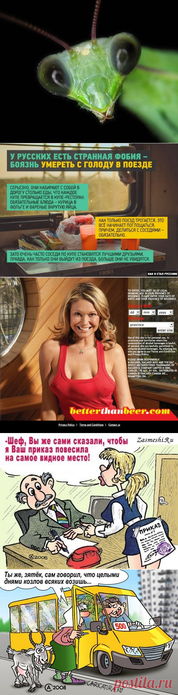 BKVL Развлекательный Портал