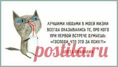 Афоризмы | Записи в рубрике Афоризмы | Дневник Лена_Солнышко