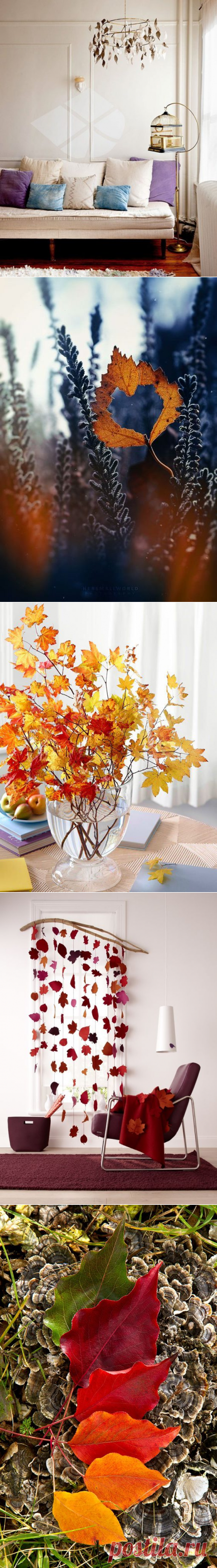 Поделка из листьев на бумаге: 40+Самых Ярких и Красивых Идей