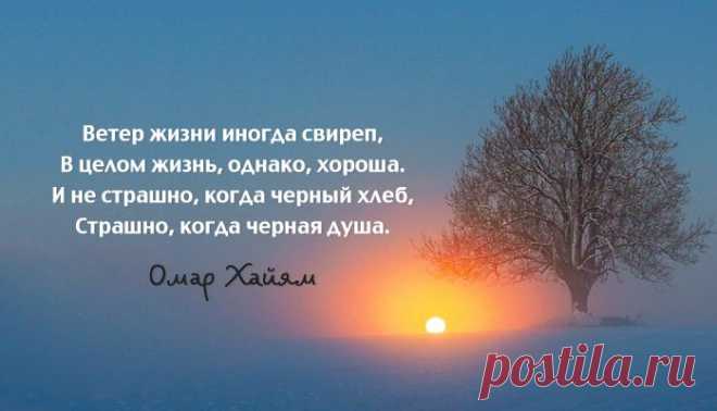 15 лучших афоризмов Омара Хайяма – мудрость через века - Цитаты, афоризмы, пословицы - Женский Мир