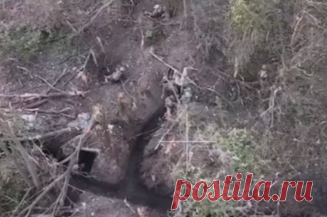 Российский боец в одиночку обратил в бегство 12 украинских военных. Telegram-каналы опубликовали кадры боя.