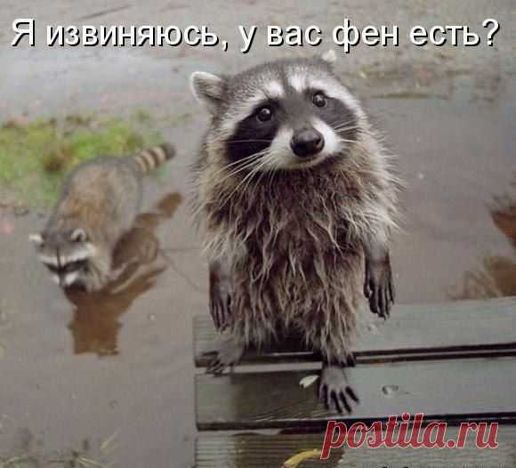 Мой Мир@Mail.Ru