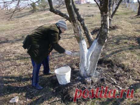 Успеть сделать до холодов.