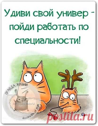 Обидеть женщину может всё. И даже ничего...