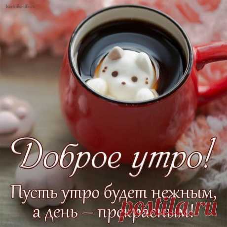 «Порою жизнь — это исключительно вопрос наличия чашечки кофе, а также того уединения, которое она даёт.»
— Ричард Бротиган.