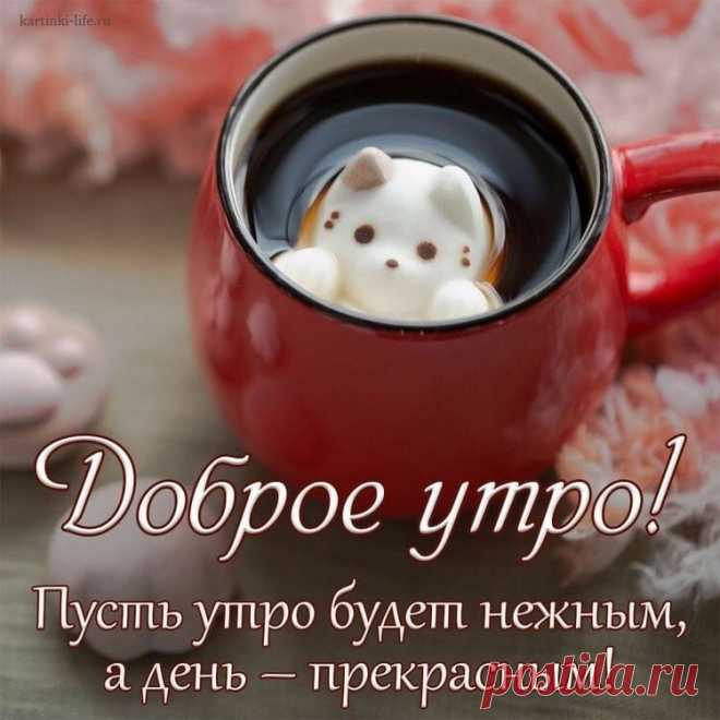 «Порою жизнь — это исключительно вопрос наличия чашечки кофе, а также того уединения, которое она даёт.»
— Ричард Бротиган.