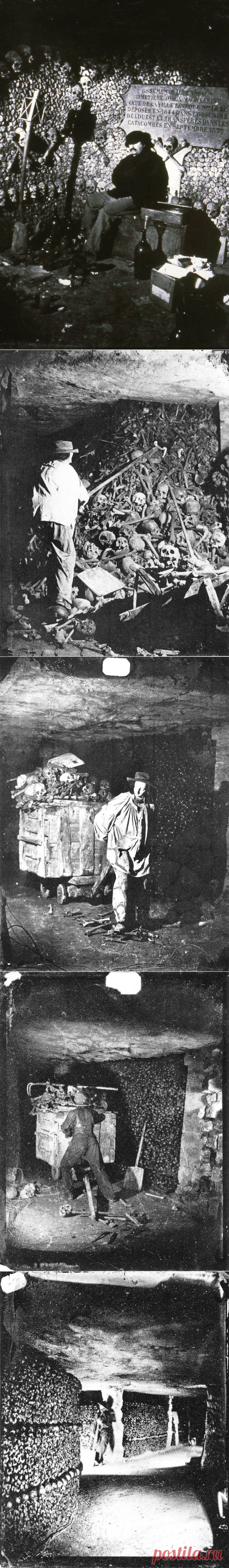 ФотоТелеграф » Катакомбы Парижа: история и современность