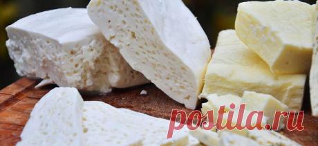 Сыр из козьего молока (брынза) - рецепт в домашних условиях