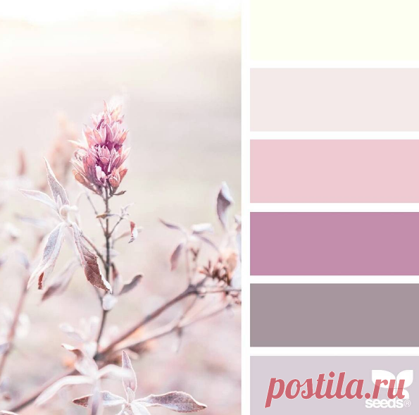 jessica colaluca (@designseeds) • Фото и видео в Instagram