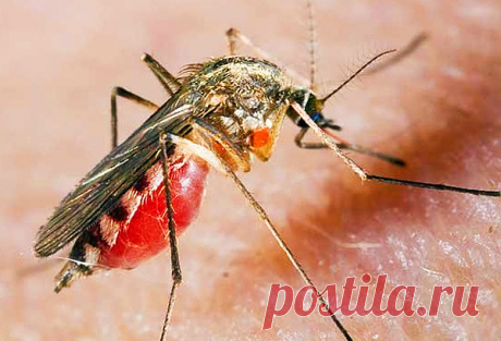 * * * * * * * * * * * *