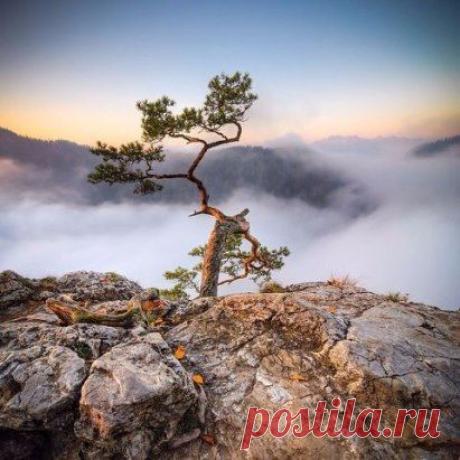 Фантастические пейзажи Карпат