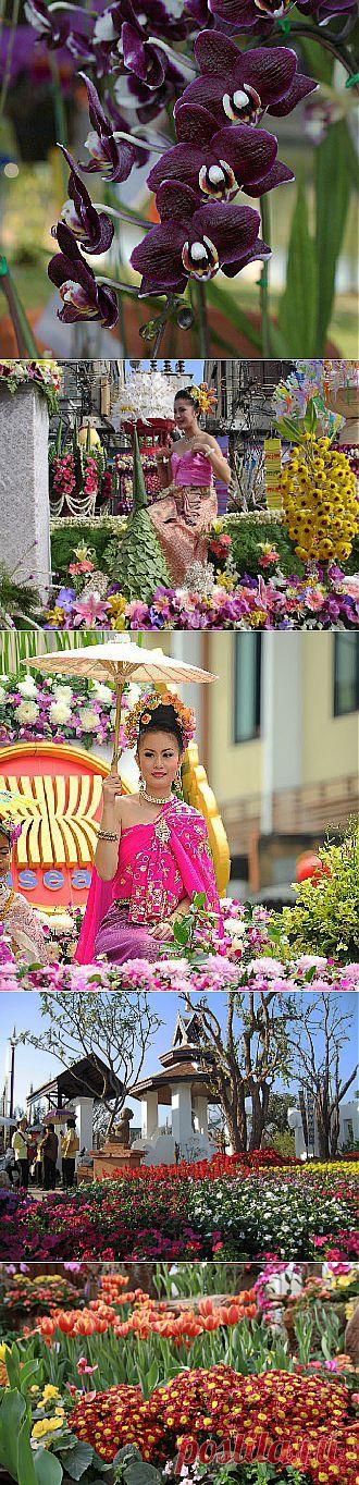 Фестиваль цветов в Чиангмае 2014, Таиланд