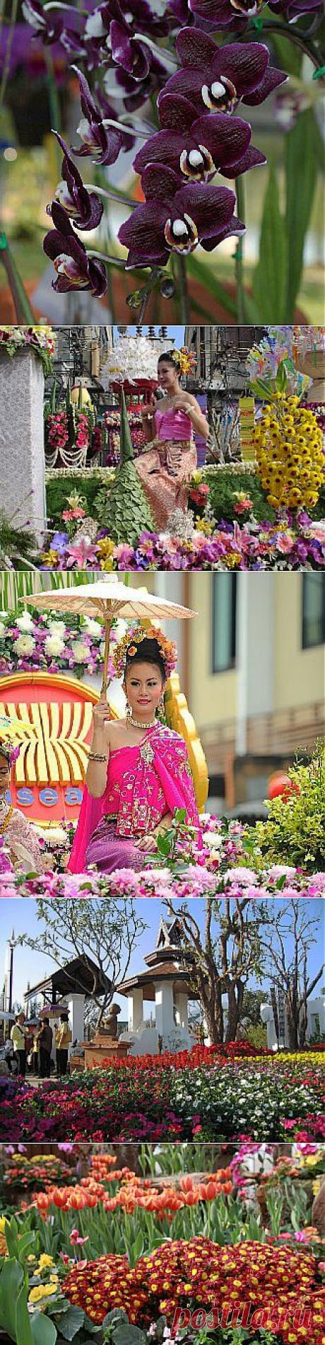 Фестиваль цветов в Чиангмае 2014, Таиланд