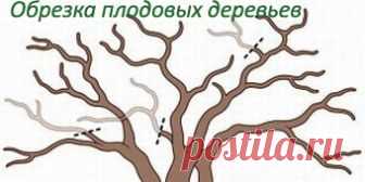 Розовая вода, рецепт. Как сделать розовую воду в домашних условиях