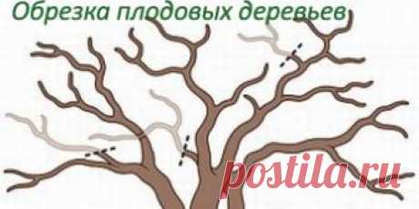 Розовая вода, рецепт. Как сделать розовую воду в домашних условиях