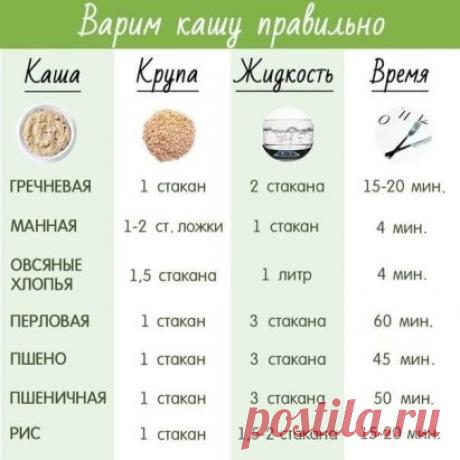 Гид по кашам