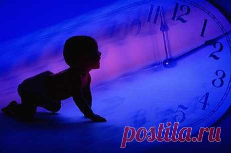 Живём по биочасам / Домоседы