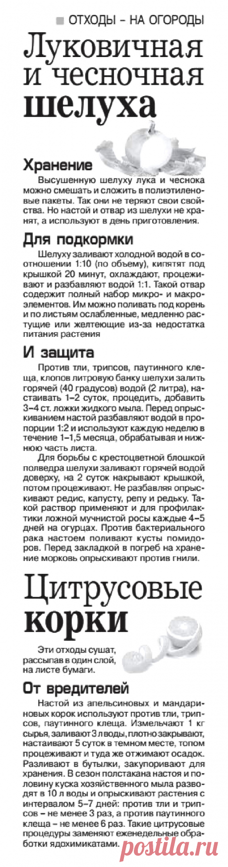 Отходы - на огороды (луковичная и чесночная шелуха, цитрусовые корки)