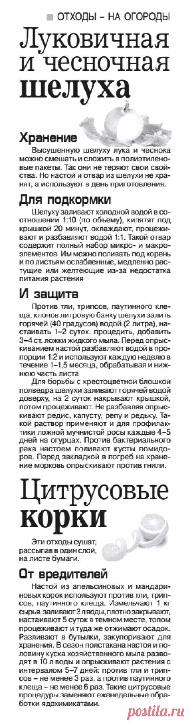 Отходы - на огороды (луковичная и чесночная шелуха, цитрусовые корки)