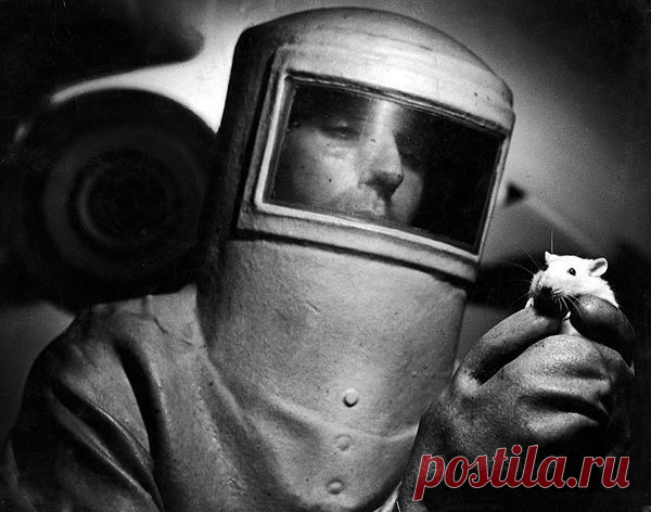 Фотограф агентства Magnum Photos - Уильям Юджин Смит - Photar.ru