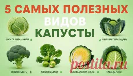 Hoвocть

Эксперты выделили пять самых полезных видов капусты.

В Роспотребнадзоре рассказали о пользе различных видов капусты и о том, как их можно использовать в кулинарии.
Показать ещё