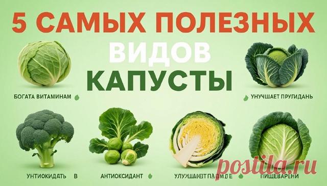 Hoвocть

Эксперты выделили пять самых полезных видов капусты.

В Роспотребнадзоре рассказали о пользе различных видов капусты и о том, как их можно использовать в кулинарии.
Показать ещё