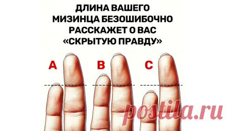 Длина вашего мизинца расскажет о вас всю правду | Психология и Факты | Дзен