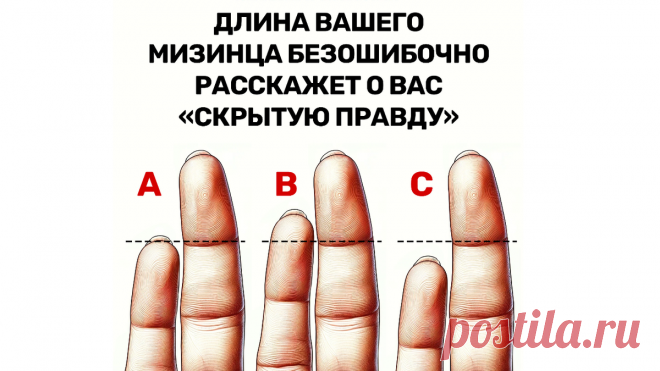 Длина вашего мизинца расскажет о вас всю правду | Психология и Факты | Дзен