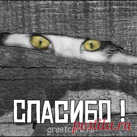 Благодарю тебя за всё!
Удачи солнечной желаю,
Пусть ждут успехи за плечом,
Любовь везде сопровождает.
