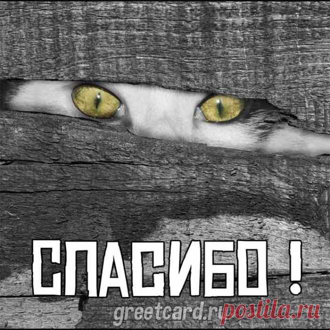 Благодарю тебя за всё!
Удачи солнечной желаю,
Пусть ждут успехи за плечом,
Любовь везде сопровождает.