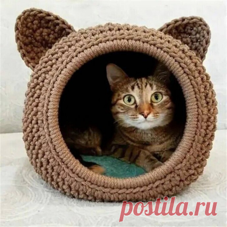​Забавный домик для кошки