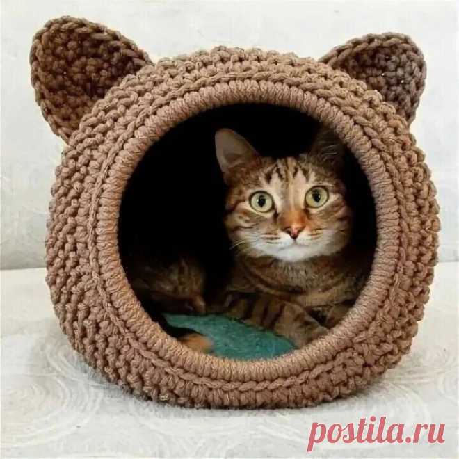 ​Забавный домик для кошки