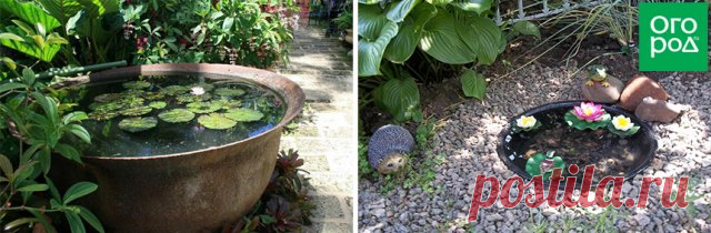 Не выбрасывайте! 20 вещей, которые можно повторно использовать на даче | Тренды (Огород.ru)