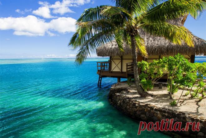 отдых отпуск, путевки - Поиск в Google