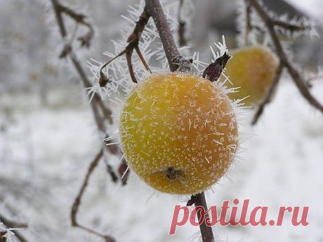 Осенний привет