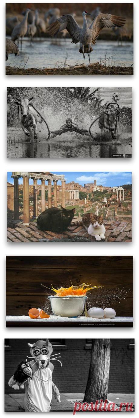 30 фотоблогов, которые радуют глаз - Лайфхакер