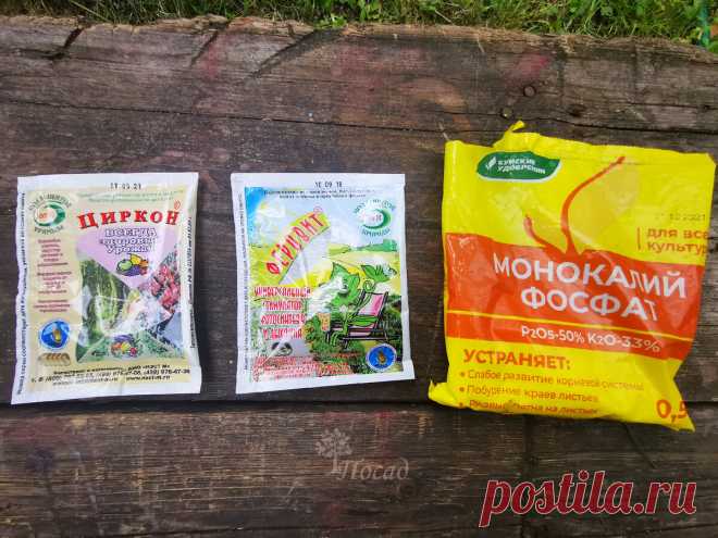 Раньше я применяла эпин и циркон неправильно и несла ущерб. Теперь использую их строго по науке | Посад | Дзен