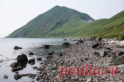 На Сахалине обнаружили находку возрастом 70 миллионов лет. Жители Сахалина провели палеонтологическую экспедицию в верховьях реки Сусуя и обнаружили редчайшие окаменелости древних морских животных — аммонитов. Речь идет об ископаемых моллюсках мезозойской эры возрастом около 70 миллионов лет. Они имеют спиральную раковину с различными узорами.