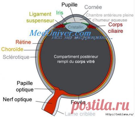 КАК СНЯТЬ УСТАЛОСТЬ С ГЛАЗ? СТАРИННЫЙ РЕЦЕПТ