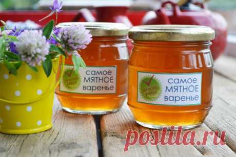 Мятное варенье — ДОМАШНЯЯ КУХНЯ