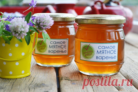Мятное варенье — ДОМАШНЯЯ КУХНЯ