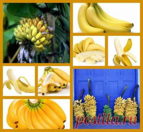 Банан - польза и вкус на столе: Здоровое питание - diets.ru