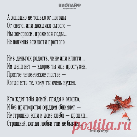 (15) Facebook