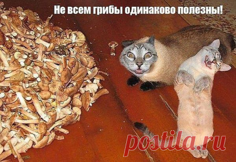 Загрузка файла